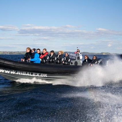 RIB Tur på Øresund