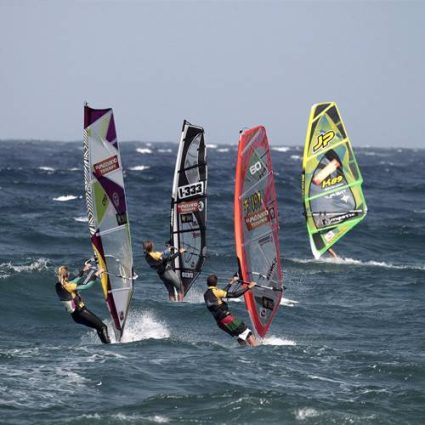 Windsurfing med Frozen Palm Tree